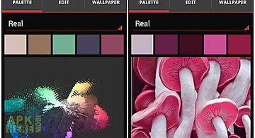 Real colors, palette generator