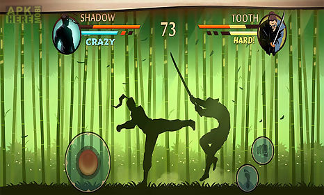 shadow fight game