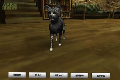 pet cat - virtual pet