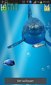 angry shark: cracked screen live wallpaper
