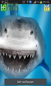 angry shark: cracked screen live wallpaper