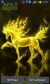 golden horse live wallpaper