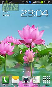 lotus pond live wallpaper