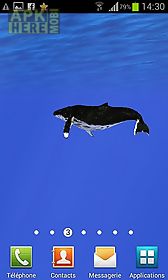 ocean: whale live wallpaper