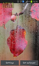 rainy autumn live wallpaper