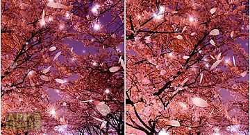 Sakura 3d Live Wallpaper