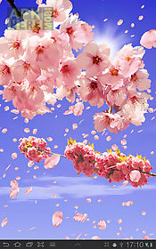 sakura free  live wallpaper