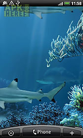 shark reef live wallpaper