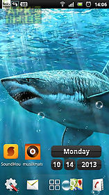sharks  live wallpaper