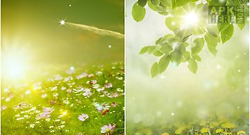 Spring meadow Live Wallpaper