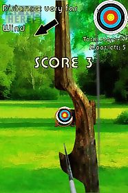 archer bow shooting