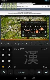 chinese keyboard plugin