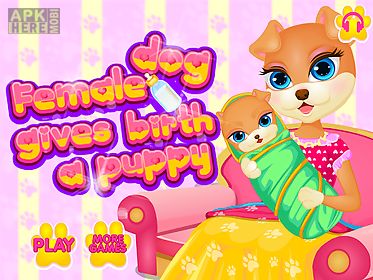 dog birth animal games