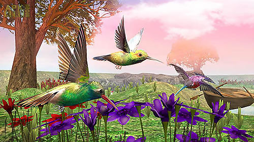 hummingbird simulator 3d