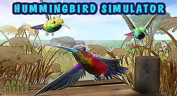 Hummingbird simulator 3d