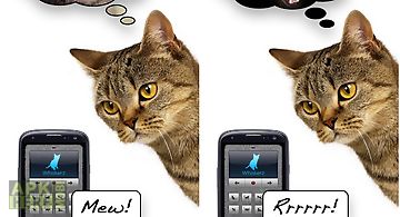 Human-to-cat translator