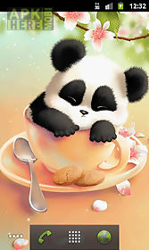sleepy panda wallpaper