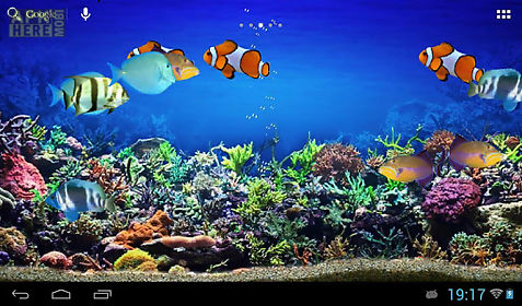tropical fishes aquarium