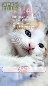 sweet kitty - go locker theme