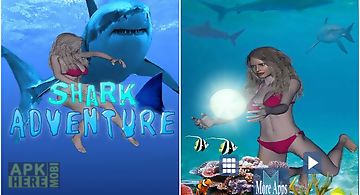 Shark adventure