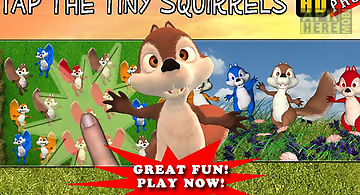 Tap the squirrel hd pro