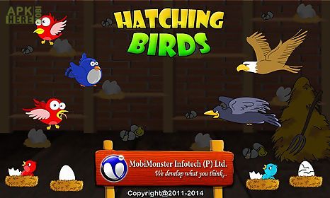 hatching birds