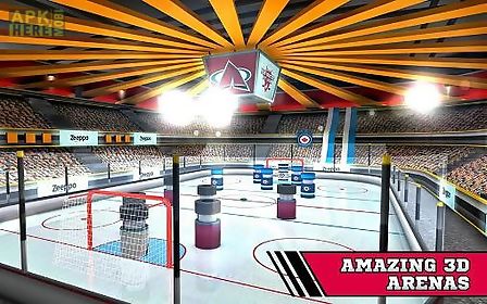 pin hockey: ice arena