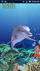 dolphin coral trial