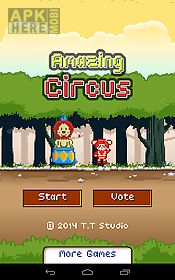 amazing circus