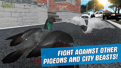 city bird pigeon simulator 3d