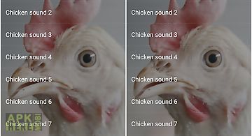 Chicken sounds