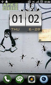 ants live wallpaper