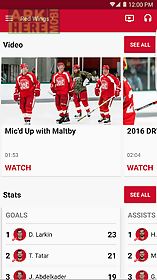 detroit red wings mobile