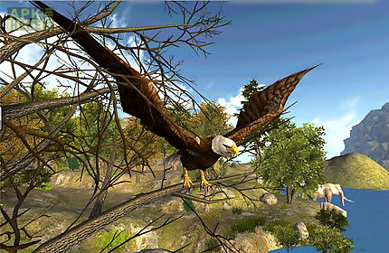 eagle fly simulator