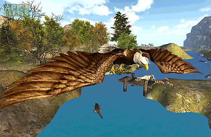 eagle fly simulator