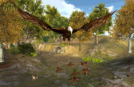 eagle fly simulator