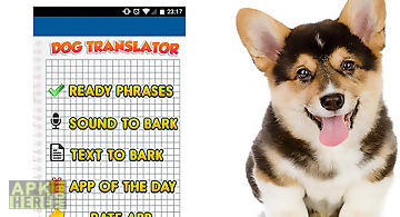 Human to dog translator prank