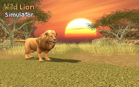 wild lion simulator 3d