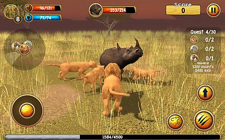 wild lion simulator 3d