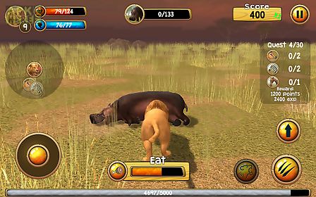 wild lion simulator 3d