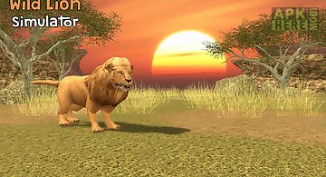 Wild lion simulator 3d