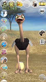 talking joe ostrich