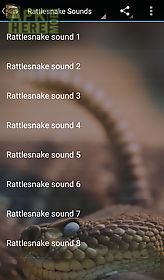 rattlesnake sounds