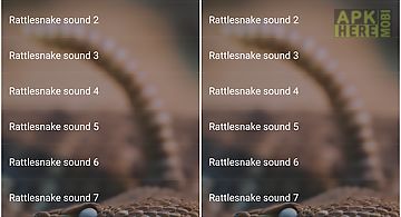 Rattlesnake sounds