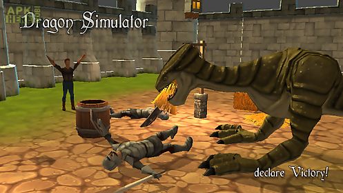 dragon simulator 3d