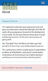 33 pregnancy timeline
