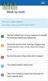 33 pregnancy timeline
