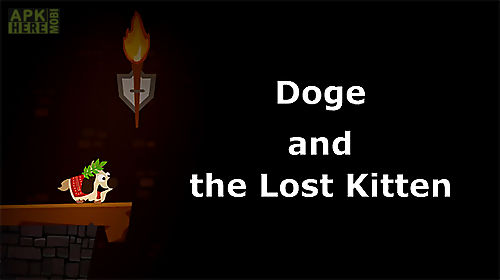 doge and the lost kitten