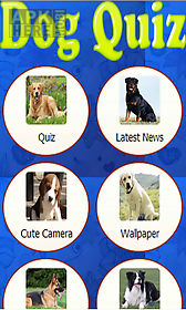 dog breed quiz - dogs guide training and names