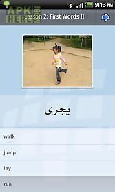 l-lingo learn arabic